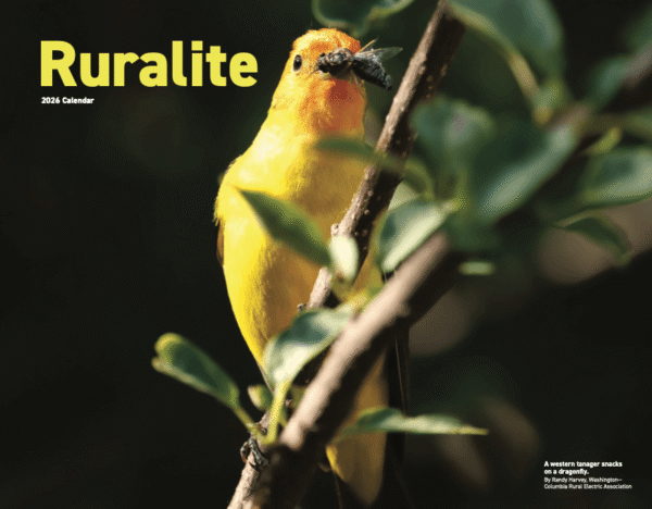 2026 Ruralite Calendars