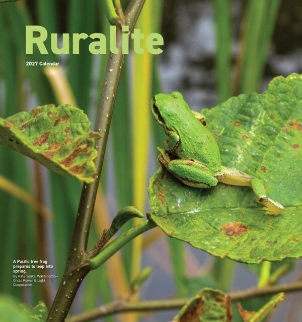 2027 calendar cover product 2 Preorder 2027 Ruralite Calendars
